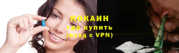 ГАЛЛЮЦИНОГЕННЫЕ ГРИБЫ Ладушкин