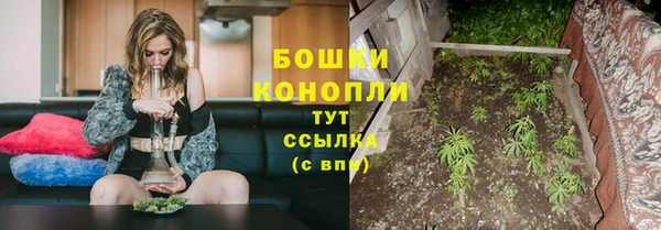 ГАЛЛЮЦИНОГЕННЫЕ ГРИБЫ Ладушкин