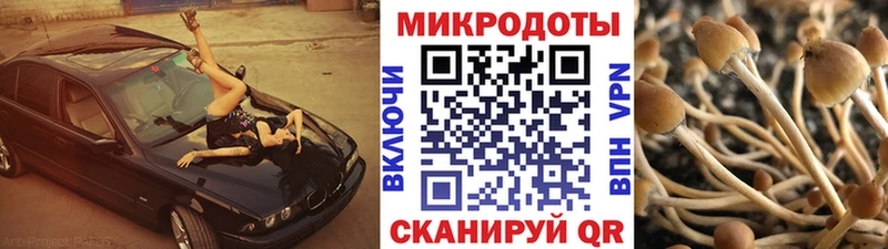 Галлюциногенные грибы GOLDEN TEACHER  где купить наркоту  Усть-Катав 